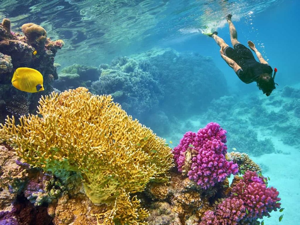 Marsa Alam viaggi per single
