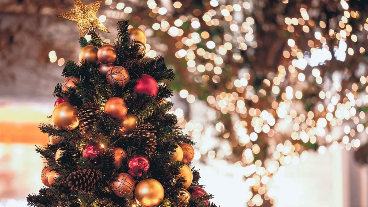 Natale alle Terme in Stanza Singola